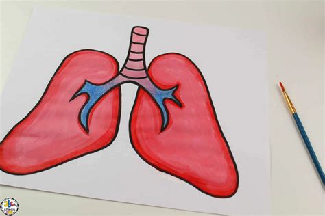 lungsod drawing easy|Lungs Drawing for Kids .